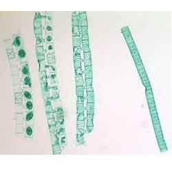 > </div>
<div class=